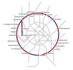 Cтроительства БКЛ метро по 30 ноября 2021 г.