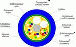 Оптические кабели  ОТД (ОТДН)